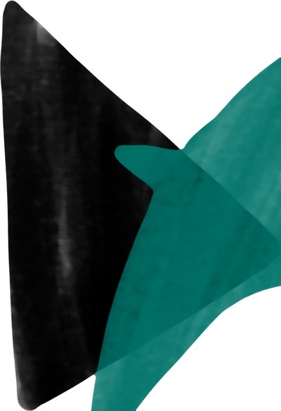 dezelfde vogel, 2017 door Alex Caminker